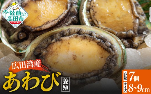 y茧OcszLcpY {B 7Zbg ( k 8cm`9cm )y Ar   ①  NNn  lC z RT3189-7