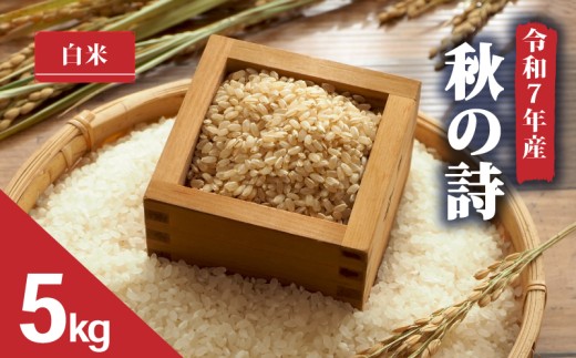 yꌧ쒬zy ߘa7NY V 5kg z H̎    2025NY ̂ Y ꌧ 쒬 _ƒ     Yn ӂ邳Ɣ[