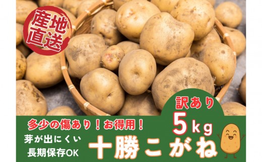 y{錧zy󂠂聚z\Ⴊ5