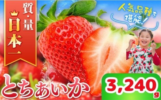 yȖ،߉ϐ쒬zys\z߉ϐ쒬YƂ 270×4o×3 | 2025N 2026N s\  C`S 嗱 Â p ʌ ʕ t[cfU[g lC ґ Ղ e ̂ꓖ