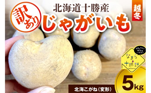 ykC莺zy2{`4{zzy󂠂zkC\莺 _ƉႪ(z~)5s@kCˁiό`jme001-051c-3