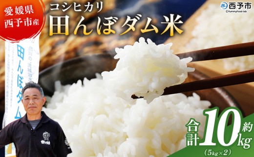 yQ\szVāߘa7NY Q\sY RVqJ cڃ_ 10kg 10L Ђ \ Fa  R     Y QY FaY a݃t@[