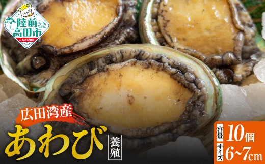 y茧OcszLcpY {B 10Zbg ( k 6cm`7cm )y Ar   ①  NNn  lC z RT3189-10