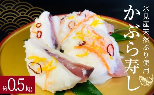 yxRXszs\ XYVRԂgp Ԃi 500g y2025N11{ȍ~z