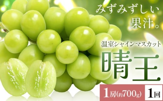 yRszy2026Ns\zVC}XJbg   1[(700g) 1񂨓͂ VC }XJbgs2026N7{-8{oׁtTʁ@(RsX(xmH