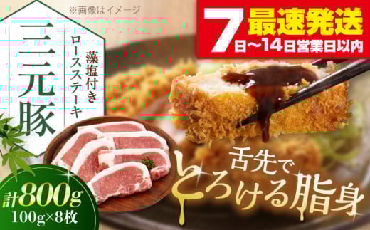 ykCΕʒzcq [XXe[L 800g (100g×8) t sΕʒtycqzƂ񂩂 [X Z ؓ Ⓚ ؃Jc gJc  ٓ  Y ؃[X  