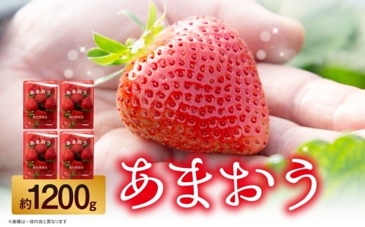 ysz䕁i܂j4pbNi300`350gj   C`S { ܂ uh   s