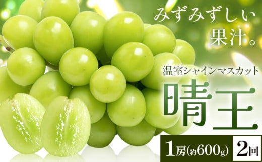 yRszy2026Ns\zVC}XJbg   1[(600g) 2񂨓͂ VC }XJbgs2026N7{-8{oׁtTʁ@(RsX(xmH