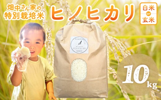 yޗǌOz񂪂蔲ĈĂ ʍ͔|āi_āj Ђ̂Ђ     10s ޗǌ O qmqJF