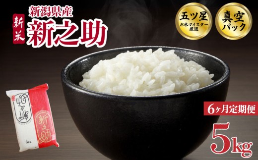 yVVcszy5kgցz 6 VV ^pbN 5kg ߘa7NY  V ܂ă}CX^[ V VY VcY ̂ ~  h ۑ AEghA ͂ 