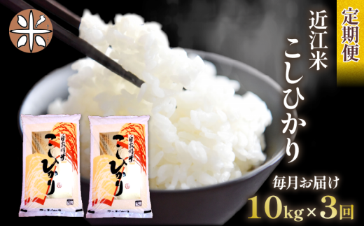 yꌧzߘa7NY Ђ  10kg S3  5s × 2 3 ߍ] RVqJ Y    ͂   ߂  Sn  ꌧY  ӂ邳 