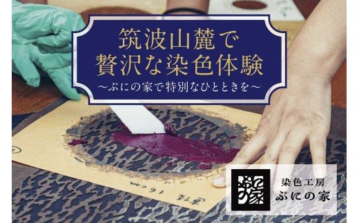 y錧Ύsz^ߑ̌ ̌`Pbg 30,000~y Ղɂ̉ zy 錧 Ύs ̌ `Pbg   ؐ ^ R Ö SDGs  G lG ̌^ ċx tx GW q