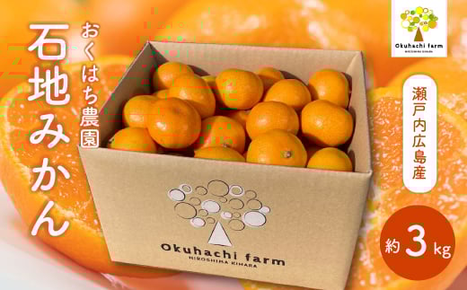 yLOszy͂_zΒn݂ 3kg s2025N12\t͔|Ԓ h bNX sgp { k 񂫂 t[c ʕ ˓ 166003