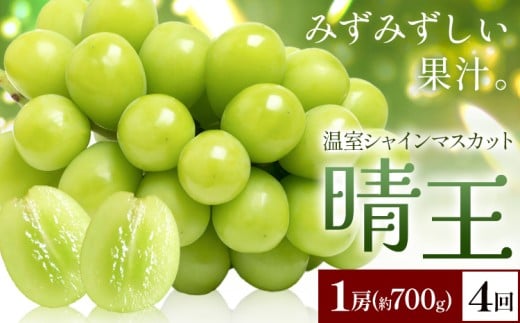 yRszy2026Ns\zVC}XJbg   1[(700g) 4񂨓͂ VC }XJbgs2026N7{-10{oׁtTʁ@(RsX(xmH