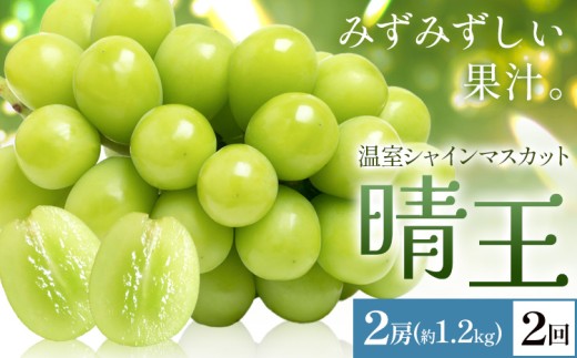 yRszy2026Ns\zVC}XJbg   2[(v1.2kg) 2񂨓͂ VC }XJbgs2026N7{-8{oׁtTʁ@(RsX(xm