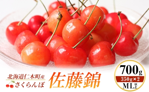 ykCmؒzst kC mؒY   700g (350g×2) MLȏ  {̉ʕ TN{ `F[ t[c ʕ ʕ mؒ m [ɉ_]