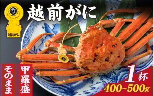 y䌧szys\zy11`3zIׂIyOIz zOɁi400g`500gj×1t b  [D-028042_07] / 䌧  IX Y YCKj {C ① zOKj z