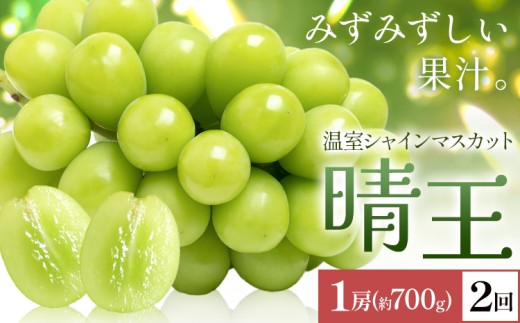 yRszy2026Ns\zVC}XJbg   1[(700g) 2񂨓͂ VC }XJbgs2026N7{-8{oׁtTʁ@(RsX(xmH