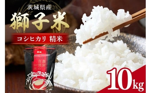 y錧Ήszyߘa7NYzq RVqJ  10kg ct@[ ReXgܕ     uh Ђ 10L Y Pꌴ R    