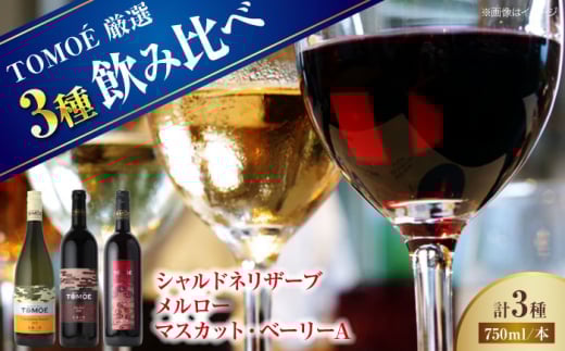 yLOszyNzyXs[hzCZbg ITOMOEC3{Zbg ԃC C  C ݔ CZbg  n m eCXeBO \G L