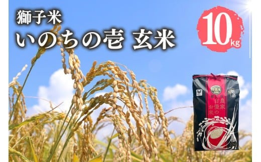 y錧Ήszyߘa7NYzq ̂̈  10kg ct@[ ReXgܕ    uh 10L Y Pꌴ R    錧Y  Y Y