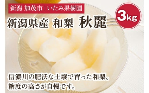 yVΎszy2026Ns\zVY I H헜 3kgi5`8ʁjs8{ȍ~tʕ t[c イꂢ { ɂقȂ Ύs ݉ʎ