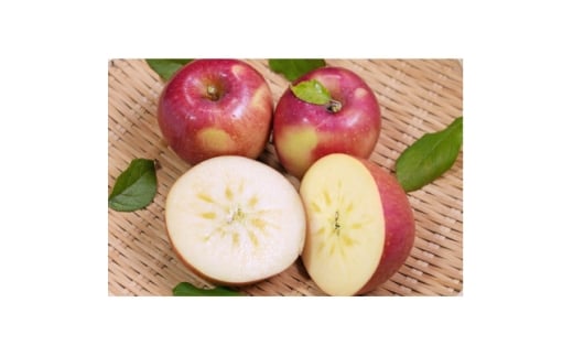 yXXsz2025N12\聄ϓx13xȏ! ĂȂptƂ炸Tӂ 3kgy1682159z