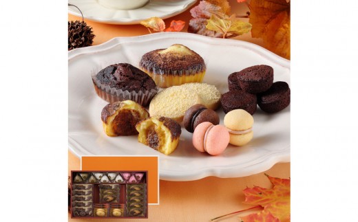 yɌ{szyGߌzV[L[ueB~XEt@^WX^@M@CAS(TF)-40