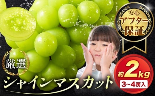 yRszyAt^[ۏؕtzVC}XJbg I 󂠂 VC}XJbg 2kg 3-4[y2026Ns\zs9{-11{ɏoׁtR s VC}XJbg Ԃ