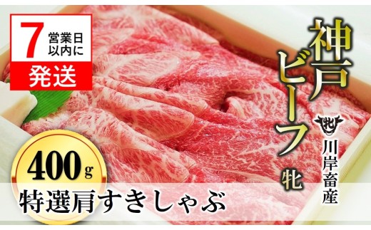 yɌeszy_ˋ āzy7cƓȓzIĂEԂԗp:400g ݒ{Y i24-22j