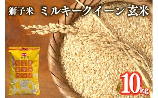 y錧Ήszyߘa7NYzq ~L[NC[  10kg ct@[    uh ~L[ 10L Y Pꌴ R    錧Y  Y Yn