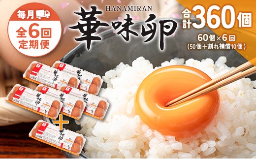 yLkLzwցxS6 ܂ ؖ 60i50{⏞10j͂ 悾t@[̉ؖ ͂Ȃ݂_FR109_001s6