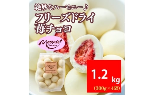 yɌɒOszt[YhC䕃`R 1200g 300gx4 11`3 `R[g `R XC[c َq   zCg`R Mtg v[g Ɍ ɒOs [5275-1071]