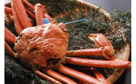 yɌLszykinosaki spa&gardens@ygpz^O 䥂ŏtKj@900