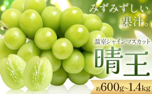 yRszy2026Ns\zVC}XJbg   1[ 2[  VC }XJbgs2026N7{-10{t Tʁ@(RsX(xmH L