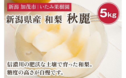 yVΎszy2026Ns\zVY I H헜 5kgi10`14ʁjs8{ȍ~tʕ t[c イꂢ { ɂقȂ Ύs ݉ʎ