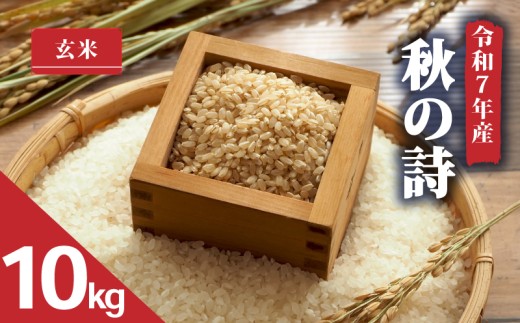 yꌧ쒬zy ߘa7NY V 10kg z H̎    2025NY ̂ Y ꌧ 쒬 _ƒ     Yn ӂ邳Ɣ[