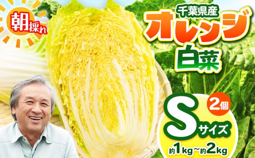 ytNÎszIW STCY 1`2kg@i2j _iw엿jF͔|Ԓsgp | ؃AEt@[  ͂ ł T_ Ђ Е ɂ_@ Y V