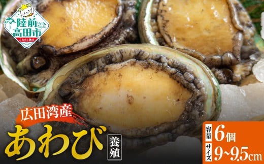 y茧OcszLcpY {B 6Zbg ( k 9cm`9.5cm )y Ar   ①  NNn  lC z RT3189-6