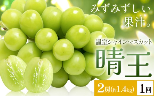 yRszy2026Ns\zVC}XJbg   2[(v1.4kg) 1񂨓͂ VC }XJbgs2026N7{-8{oׁtTʁ@(RsX(xm