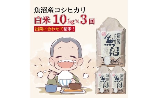 yV\szy3ցzߘa7NYVā@YRVqJ 10kg×3@v30kg@ R Ђ  uh  \s