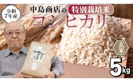 y錧΂݂炢sz V  ߘa7NY 錧Y  ʍ͔| RVqJ 5kg i5kg×1܁j Ђ  R  P  錧Y Y    R