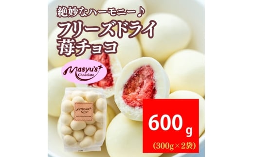 yɌɒOszt[YhC䕃`R 600g 300gx2 11`3 `R[g `R XC[c َq   zCg`R Mtg v[g Ɍ ɒOs [5275-1069]