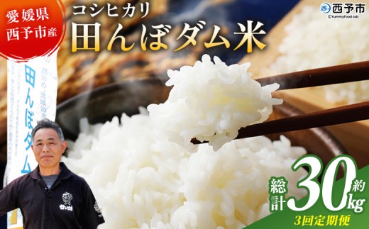 yQ\szVāߘa7NY Q\sY RVqJ cڃ_ 10kg 3ց 10L Ђ \ Fa  R     Y QY FaY a