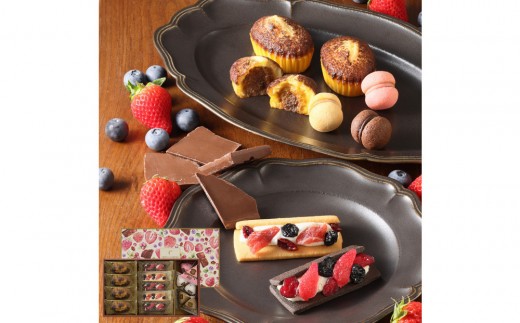 yɌ{szyGߌzV[L[utb^A\[g@S@CAS(FR)-25