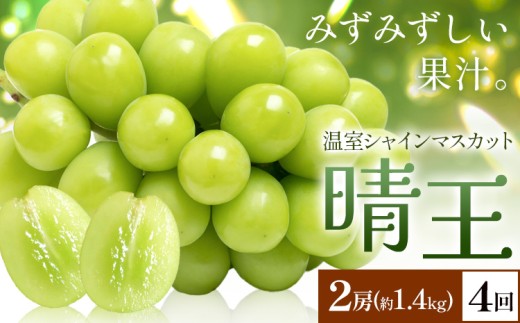 yRszy2026Ns\zVC}XJbg   2[(v1.4kg) 4񂨓͂ VC }XJbgs2026N7{-10{oׁtTʁ@(RsX(x