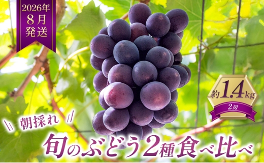 yɌsz8b̂{̂Ԃǂ 2 Hה׃Zbg 1.4kgi2[j Zbg lߍ킹 Yn t[c Ɍ s