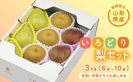 yR`zss\ 2026Nxtyʎzǂ藜Zbg Ȃ iV  fU[g t[c ʕ  ʎ Hi R` FSY-2565