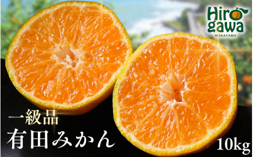 ya̎RL쒬zLc݂ 10kg / a̎R Lc L ݂ ~J k ʕ  Mtg t[c ʎ 1{`2{ɏ\yhkt004-p-10z