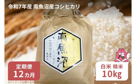 yV򒬁zߘa7NY 12ցy10s/12zz㓒Y 싛Y RVqJ Ƃ鐅̌b݁yY RVqJz